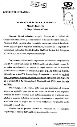 Recurso de Apelacion caso Ciuffardi Chile