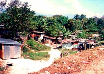 Consejo de Ministros autoriza la expropiación de 30 colonias