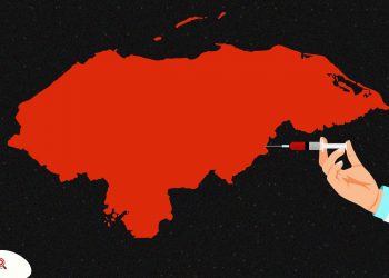 Proyección y avances de vacunación para 2023